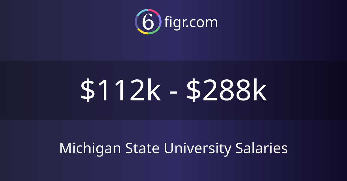 Michigan State University Salaries 2024 112k288k