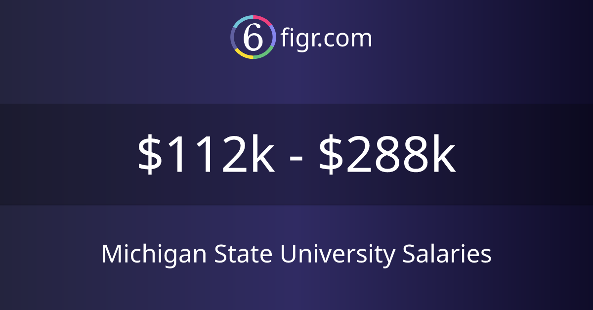 Michigan State University Salaries 2025 112k288k